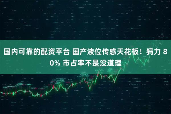 国内可靠的配资平台 国产液位传感天花板！犸力 80% 市占率不是没道理